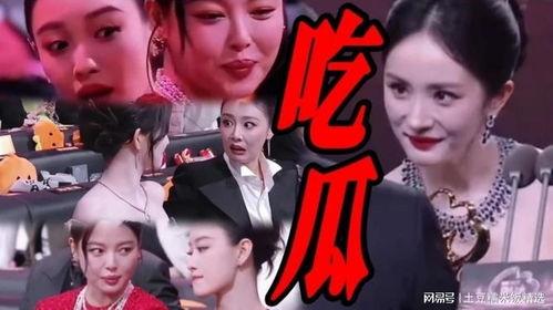 娱乐吃瓜全集观看,揭秘娱乐圈幕后真相与明星八卦